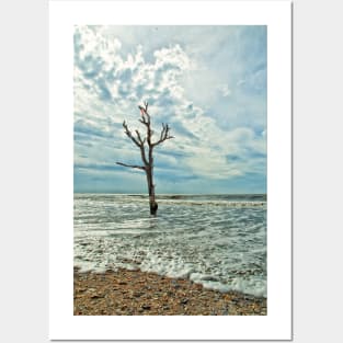 Edisto Beach South Carolina Posters and Art